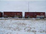 CN 405828 is new to RRPA!